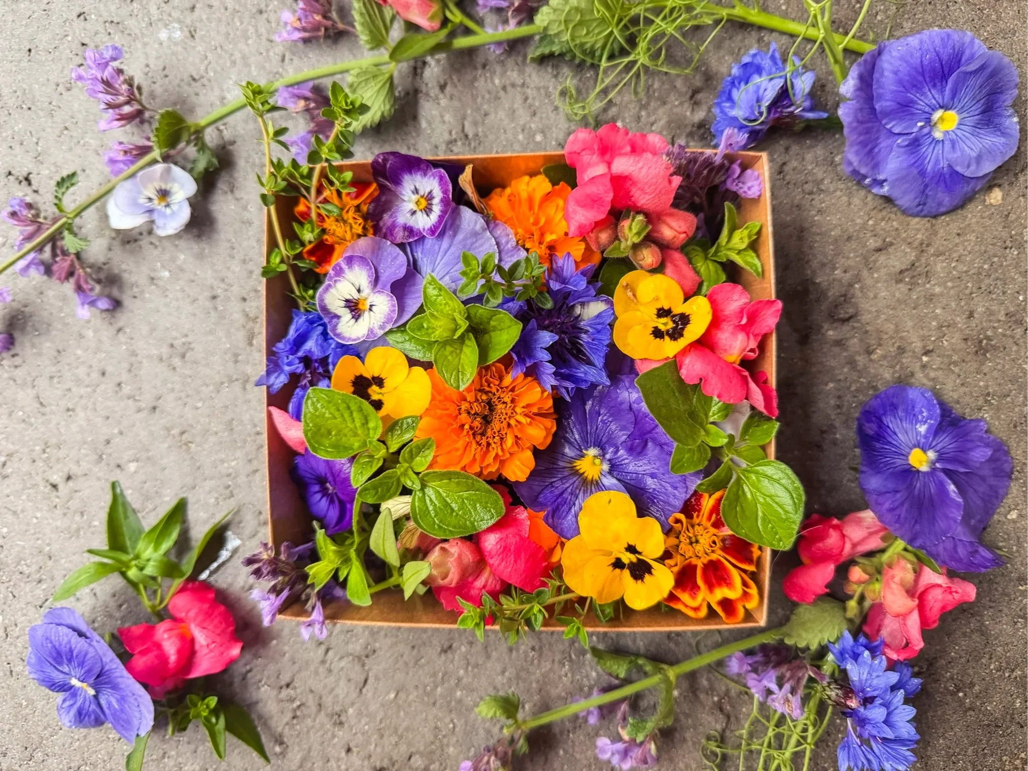 Colorful assortment of flowers, including purple, yellow, pink, and orange, arranged in a container on a concrete surface with additional flowers scattered around.