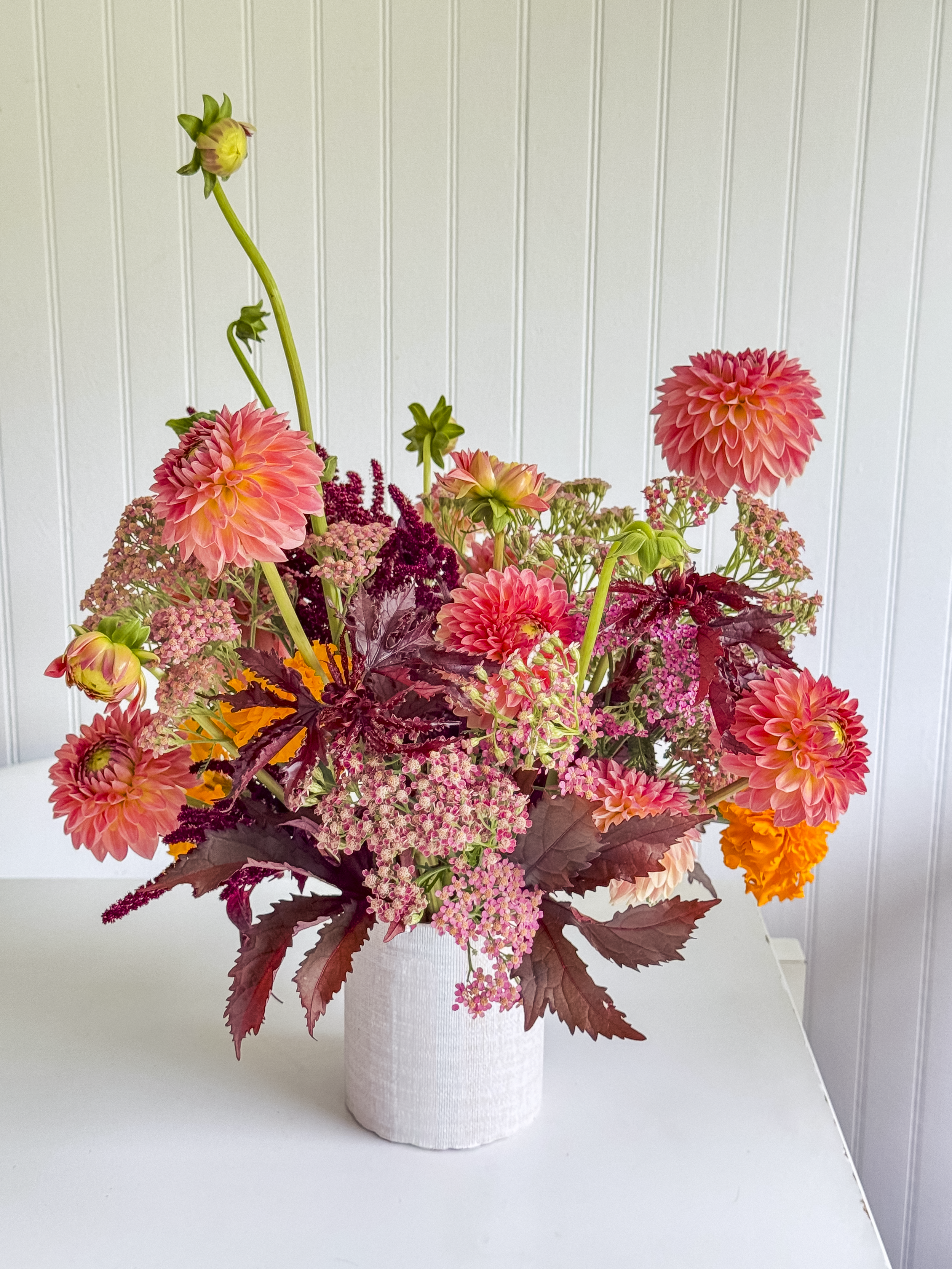 bloom country-26.png