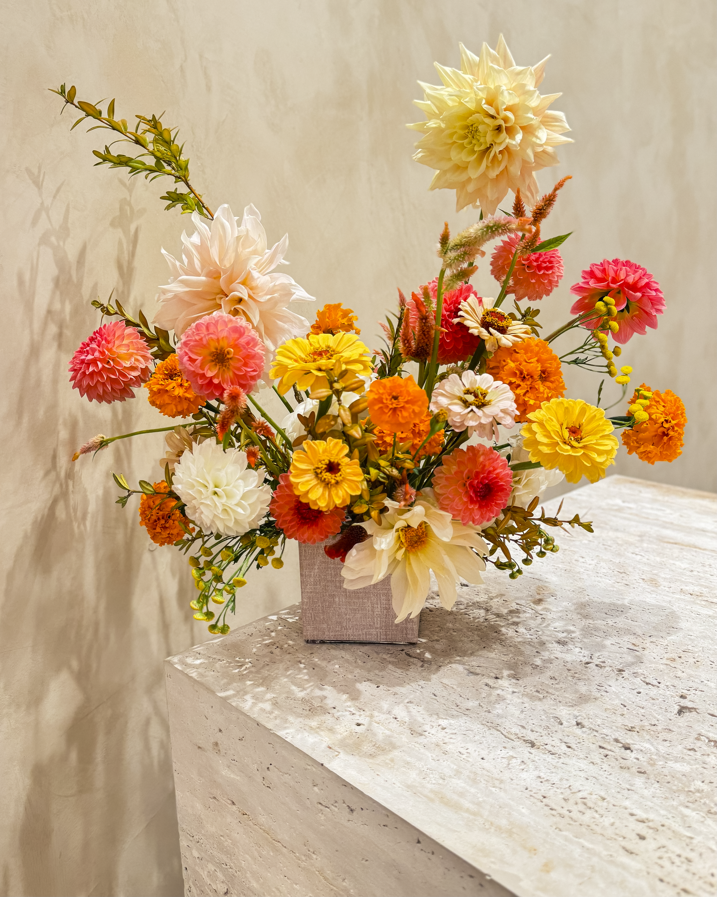 bloom country-18.png