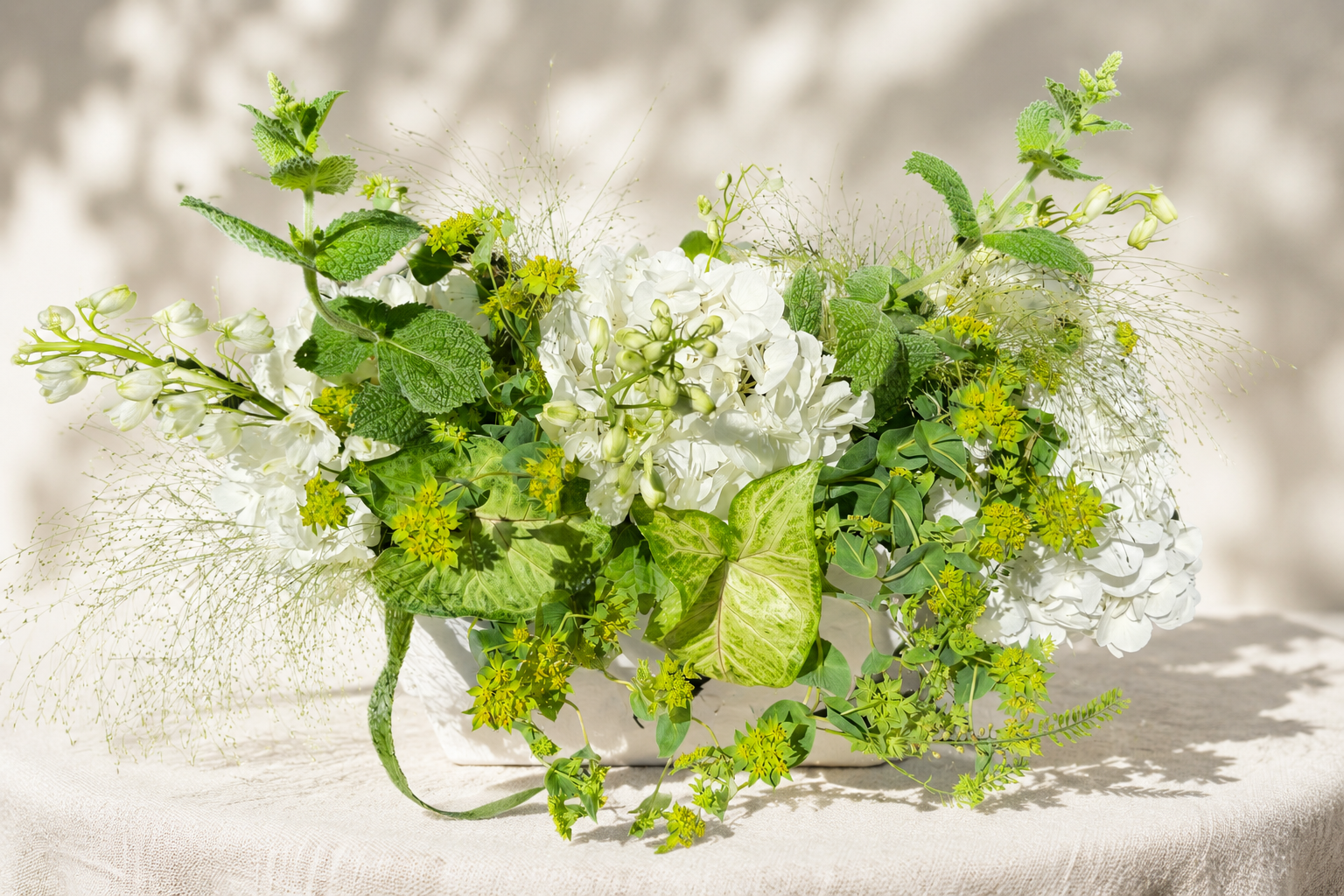 31BD2D8B-11B1-4175-9814-DD9F12B8D581.png