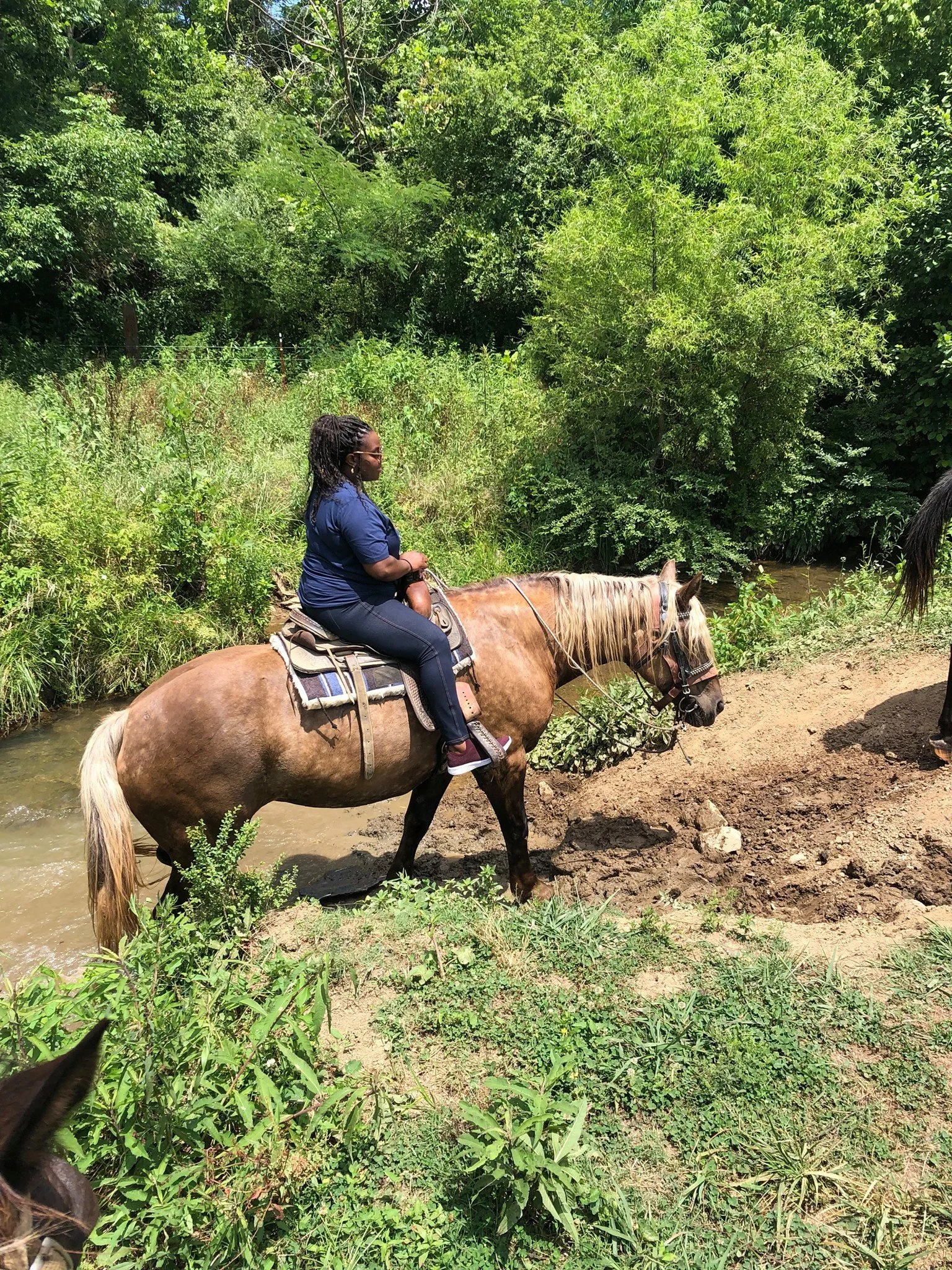 A woman with glasses and braided hair riding a brown and white horse through a shallow creek surrounded by green foliage.