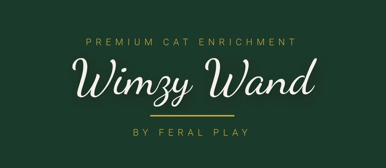 Wimzy Wand