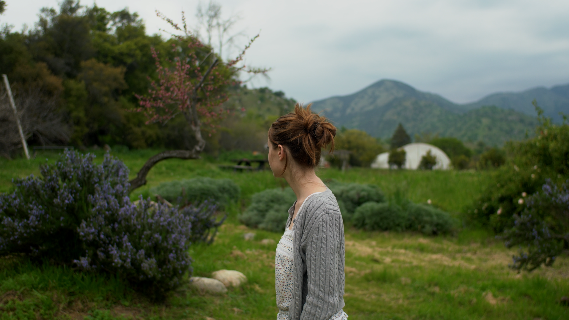 Still 2026-04-12 200328_1.2.1.png