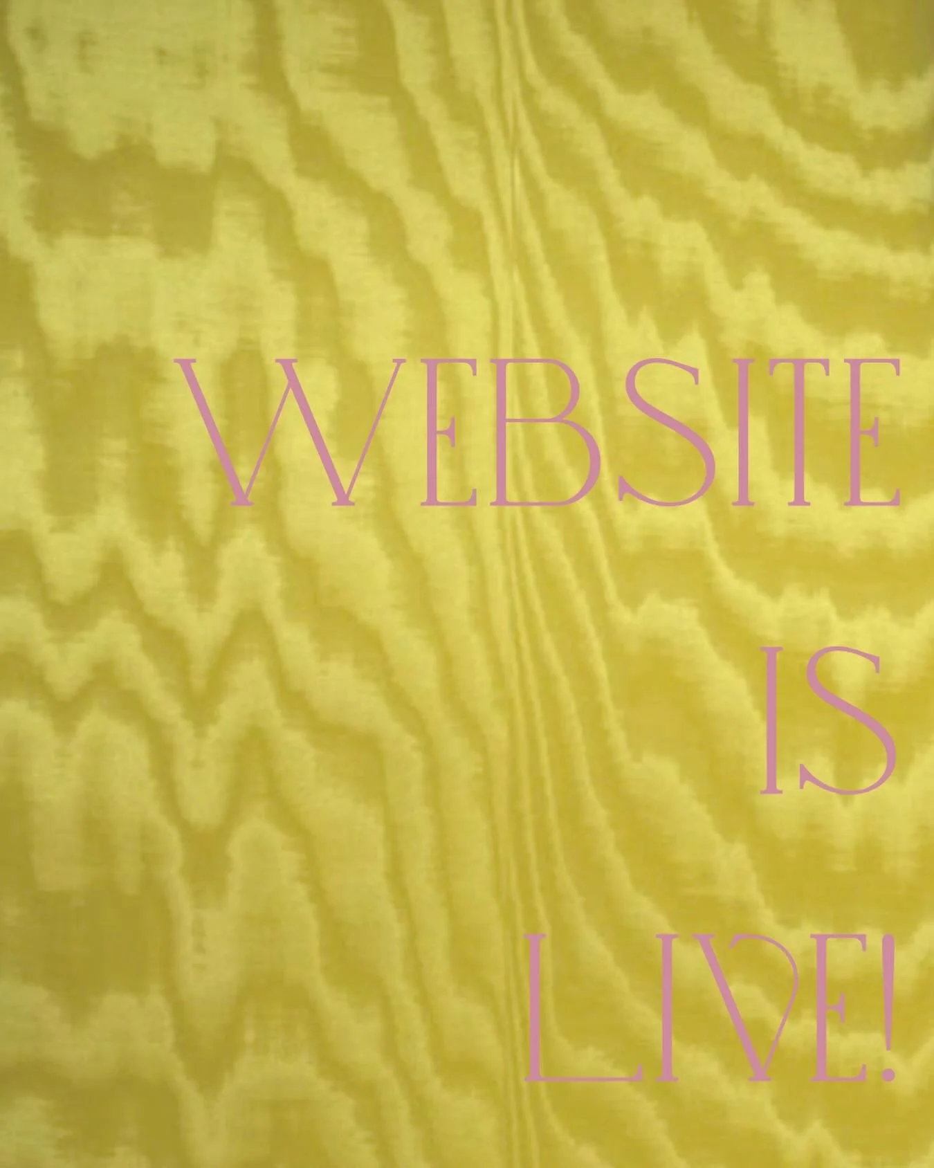 Link in bio