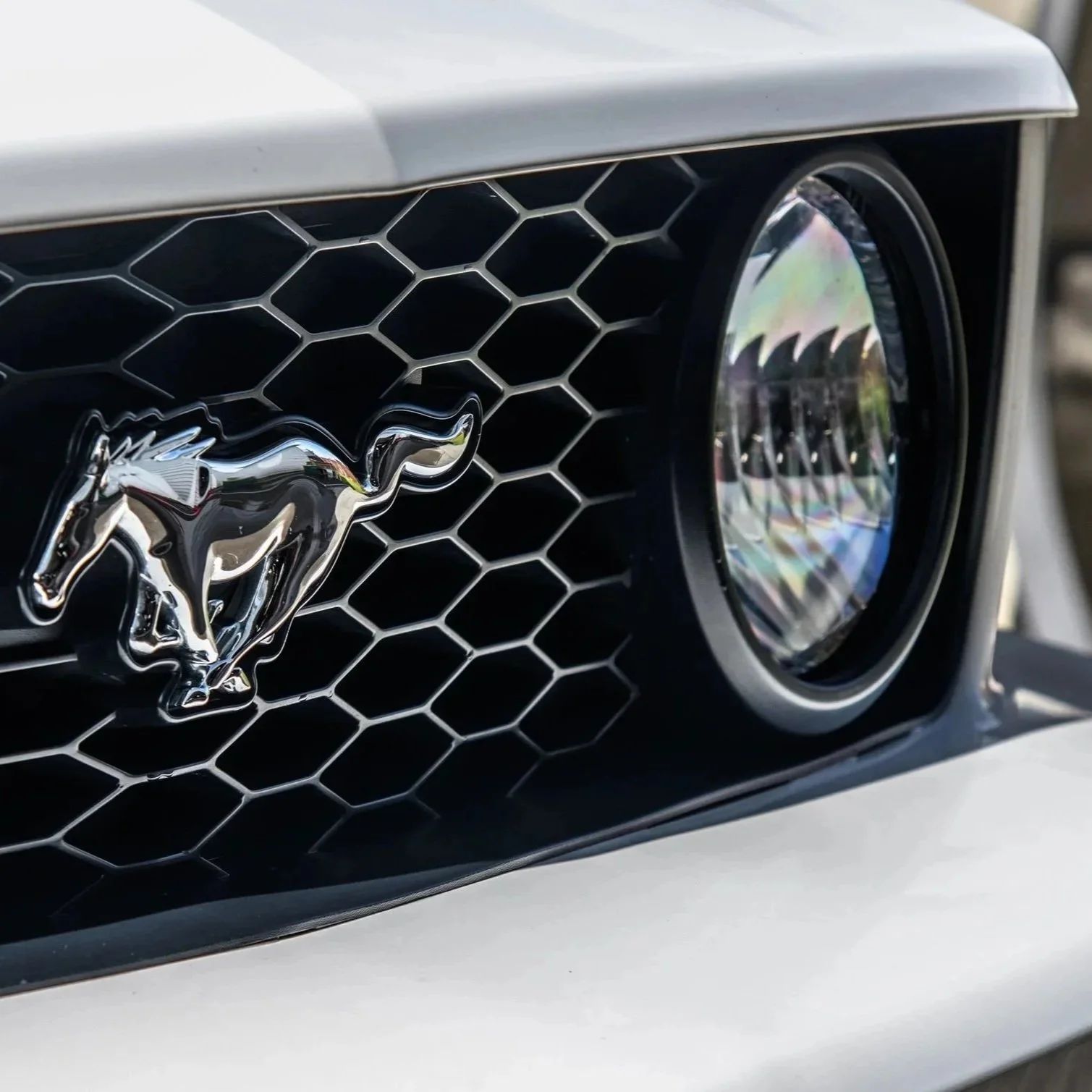 Close-up of a Ford Mustang emblem on the front grille of a car, with a honeycomb pattern and headlight.