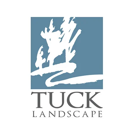 tuck.webp