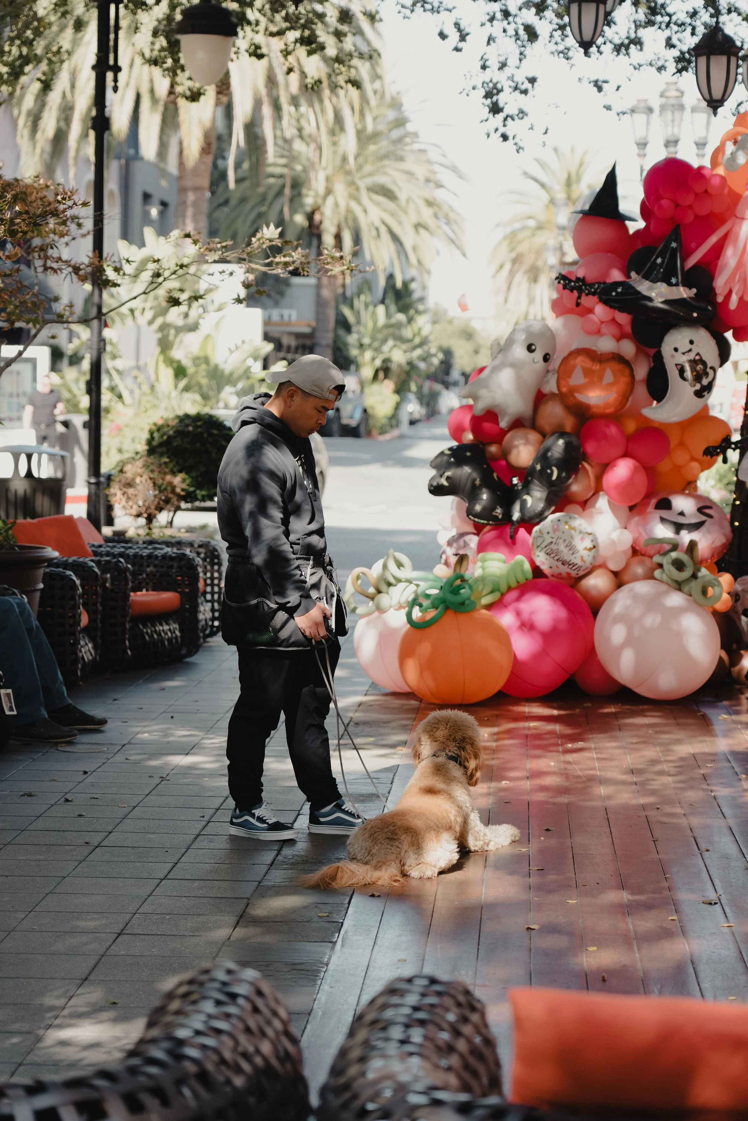 A man with a cap and black hoodie stands on a sidewalk with a leash, holding a golden retriever dog sitting on the ground. Behind them is a colorful balloon arrangement with Halloween-themed balloons, including pumpkins, ghosts, and bats, in front of a street with palm trees.