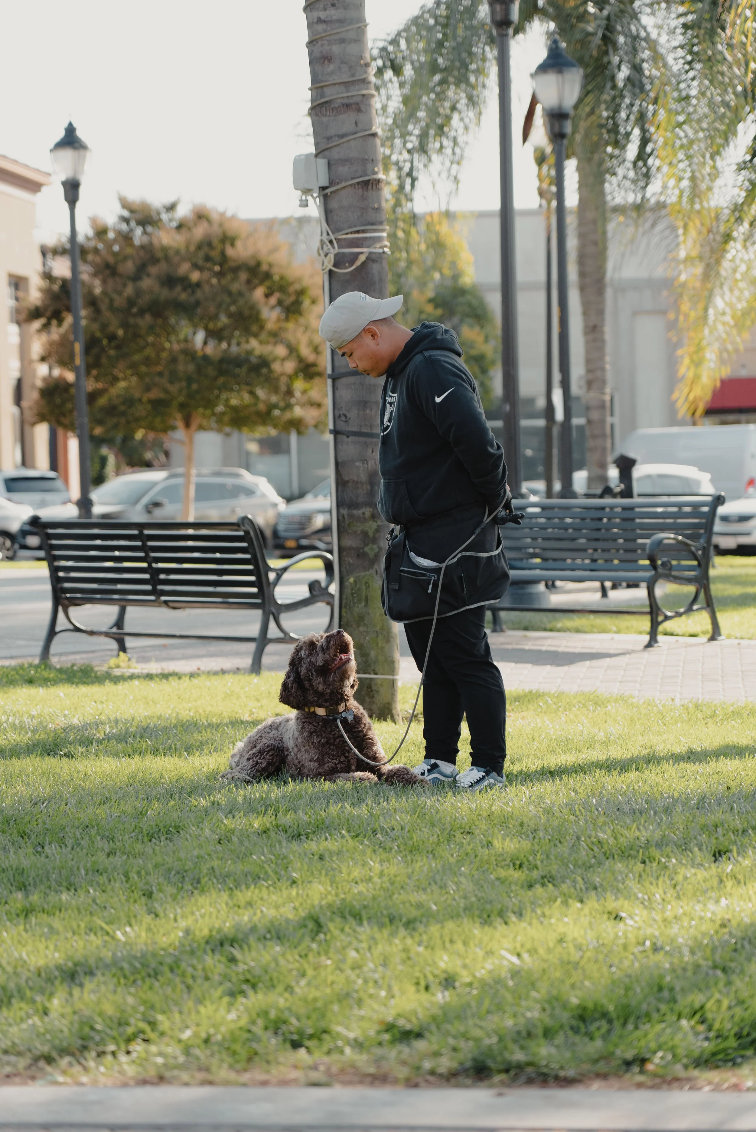 4 Week Board & Train