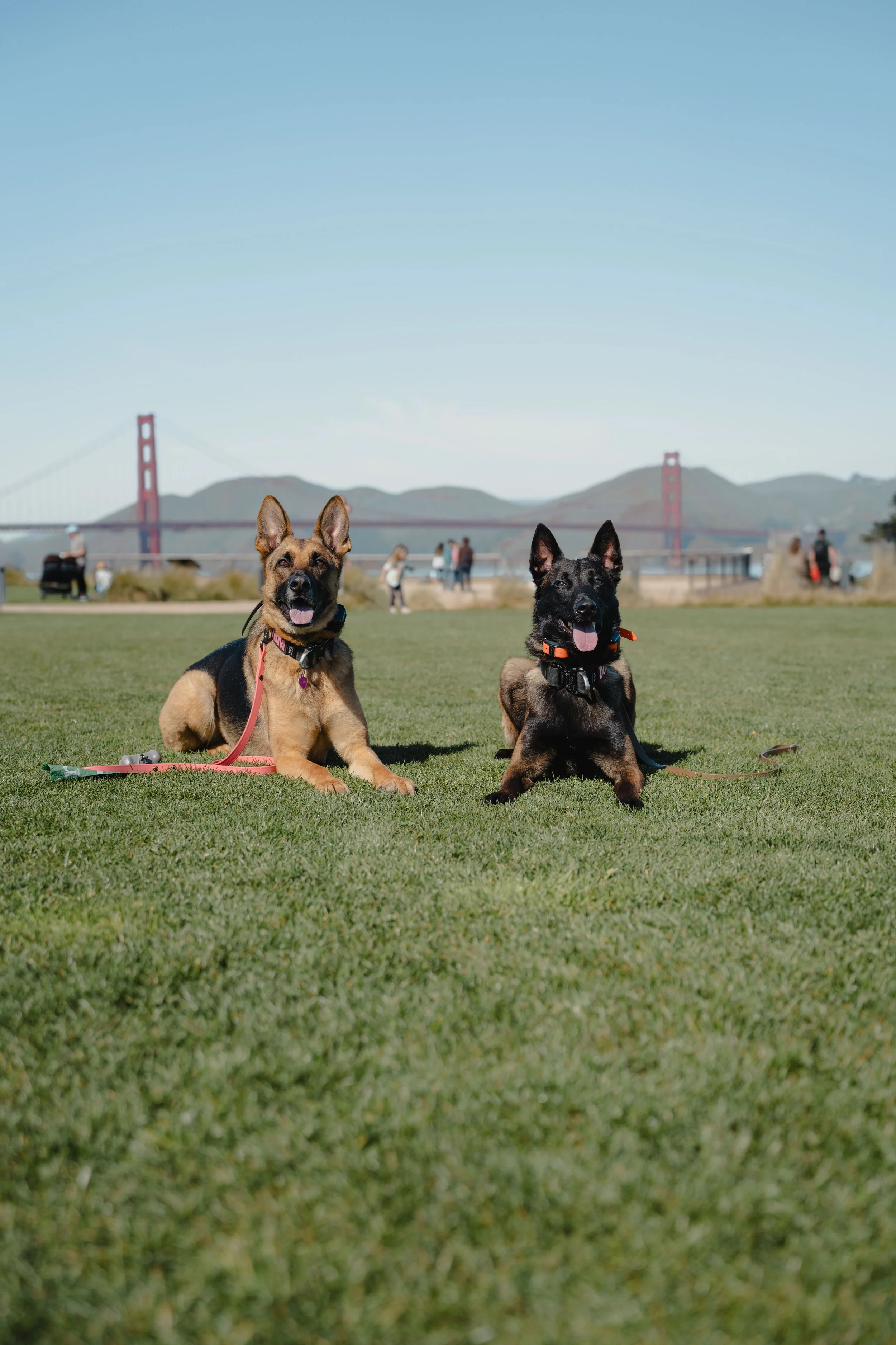 7 Private + 5 Group Lessons