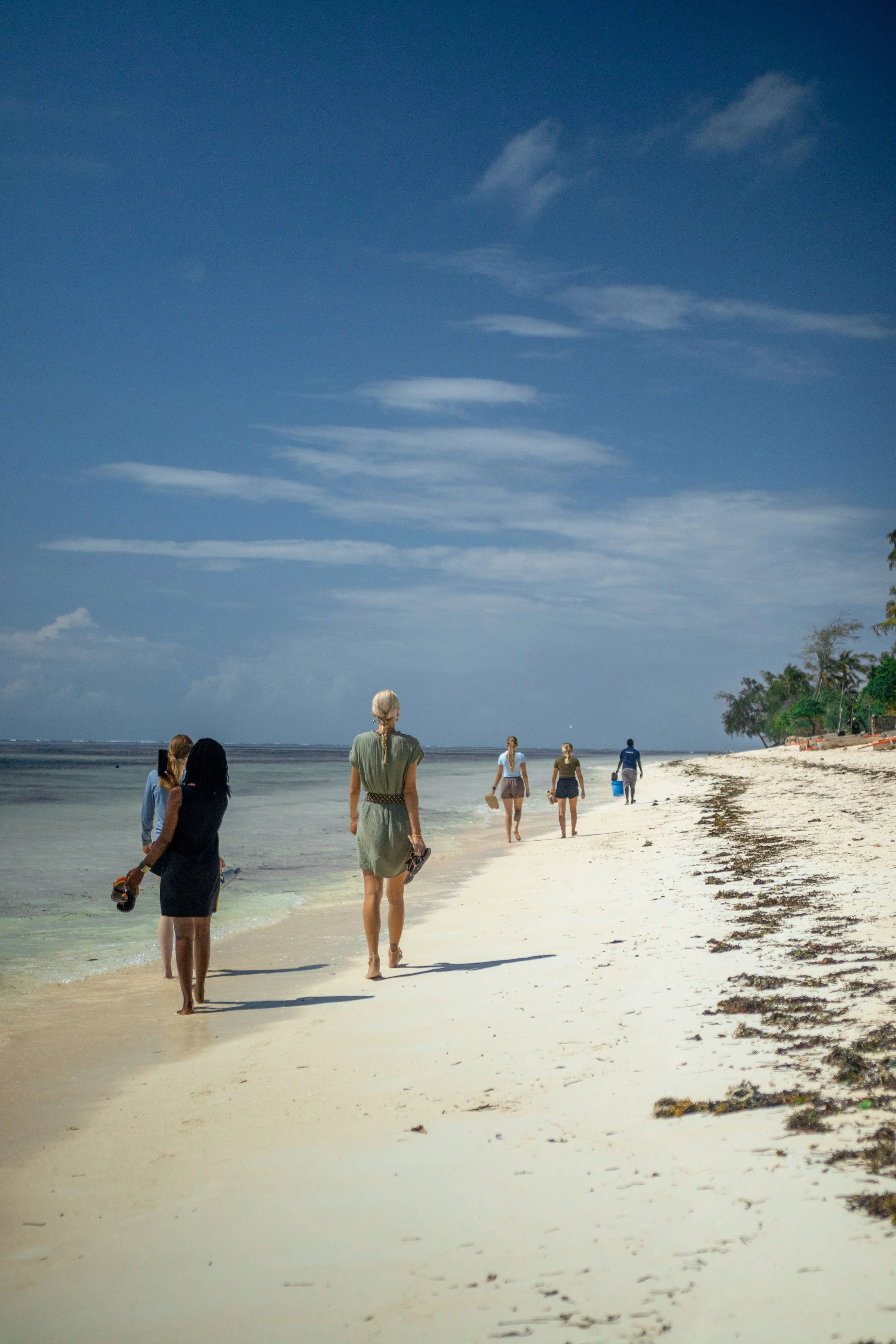 People walking along the sandy beach under a blue sky with few clouds, some trees on the right side.