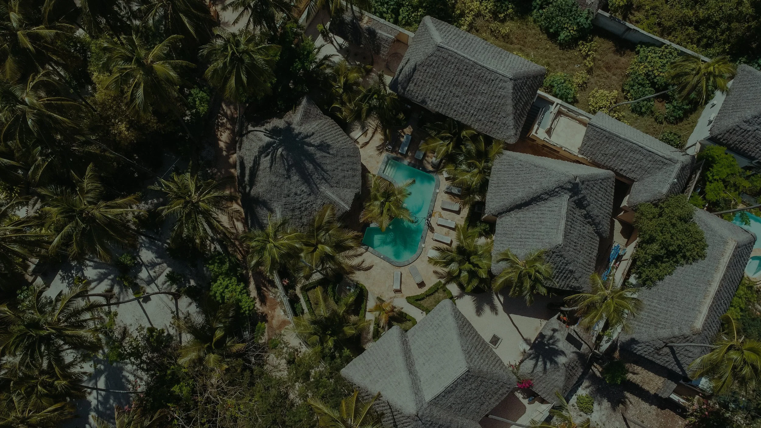 Aerial view of a tropical resort with thatched roof buildings, a swimming pool, lounge chairs, surrounded by numerous palm trees and lush greenery.