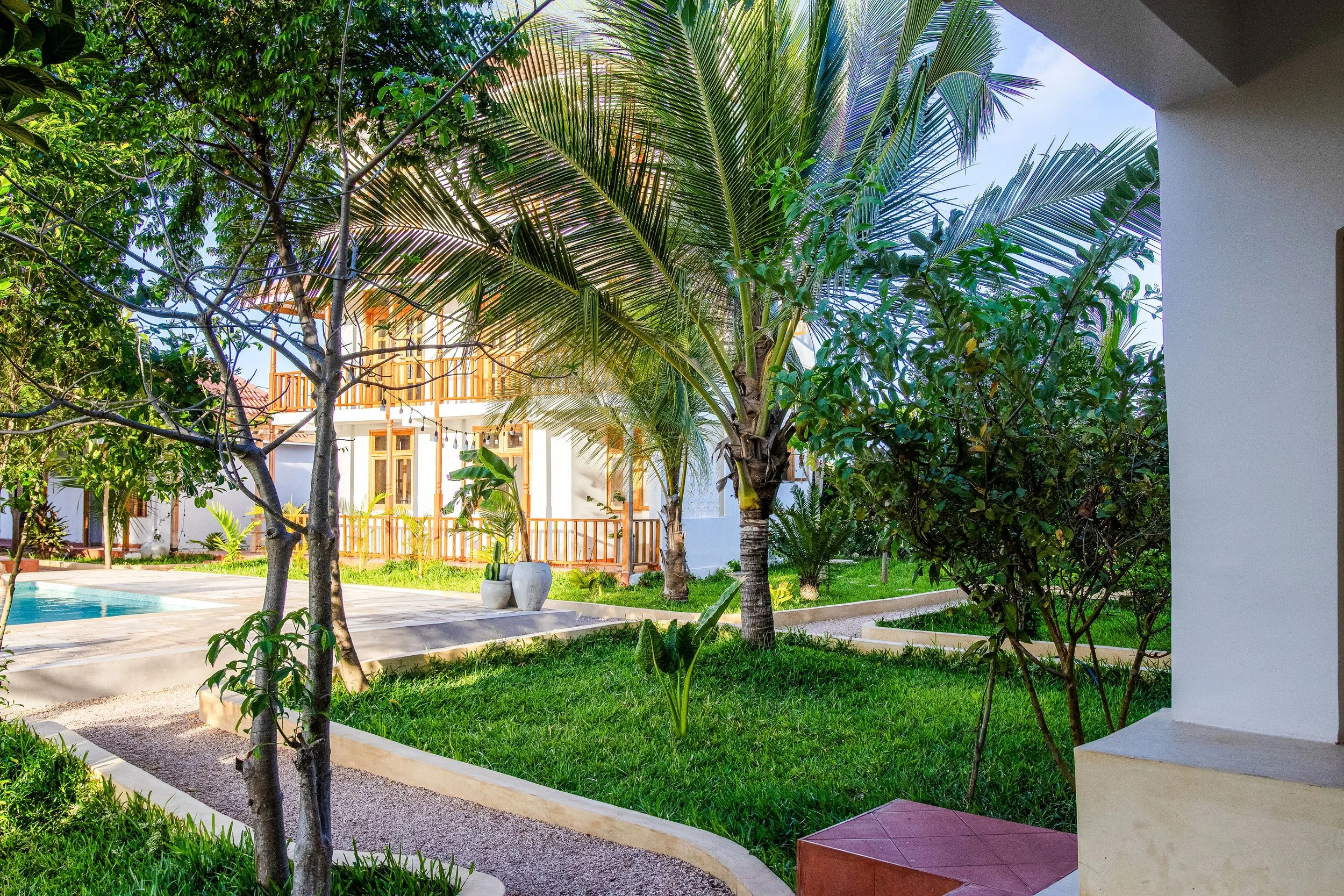 View of a backyard with various green plants, palm trees, a swimming pool, and a two-story house with a balcony.