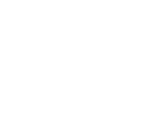 Logo featuring a stylized dolphin above the word 'Fontys' in italicized font.