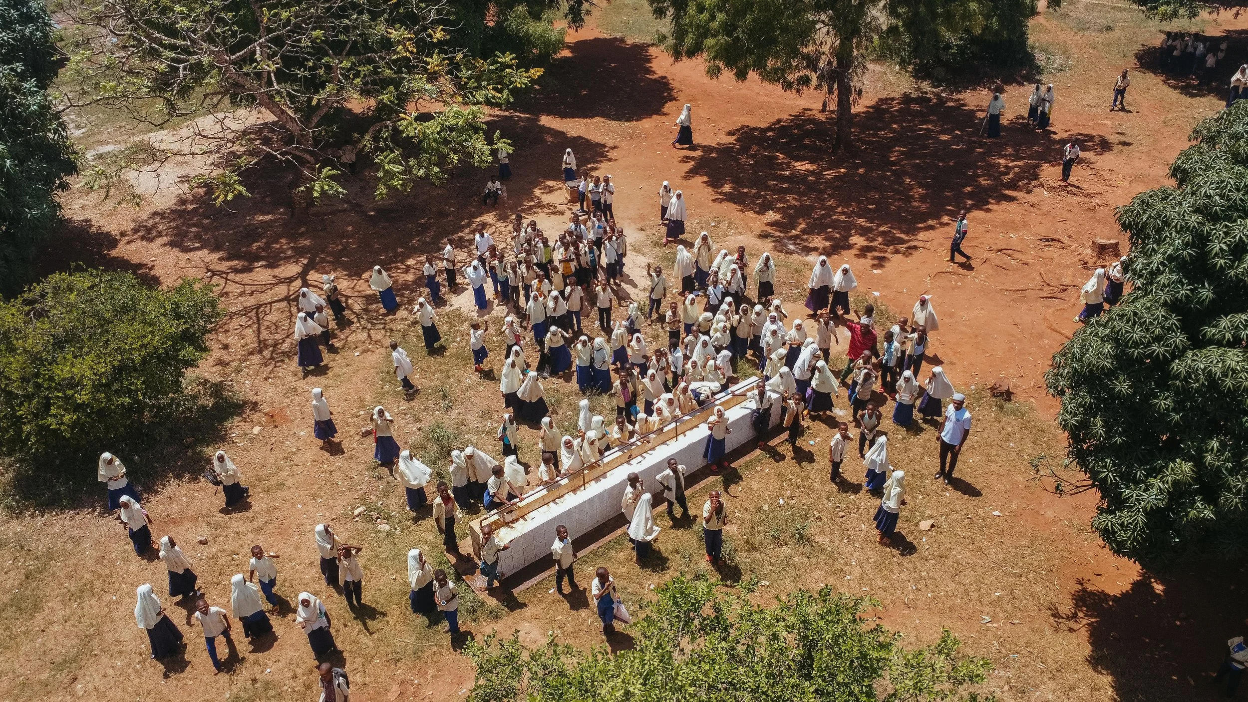 An aerial view of a large group of students in white uniforms walking in a schoolyard shaded by trees.