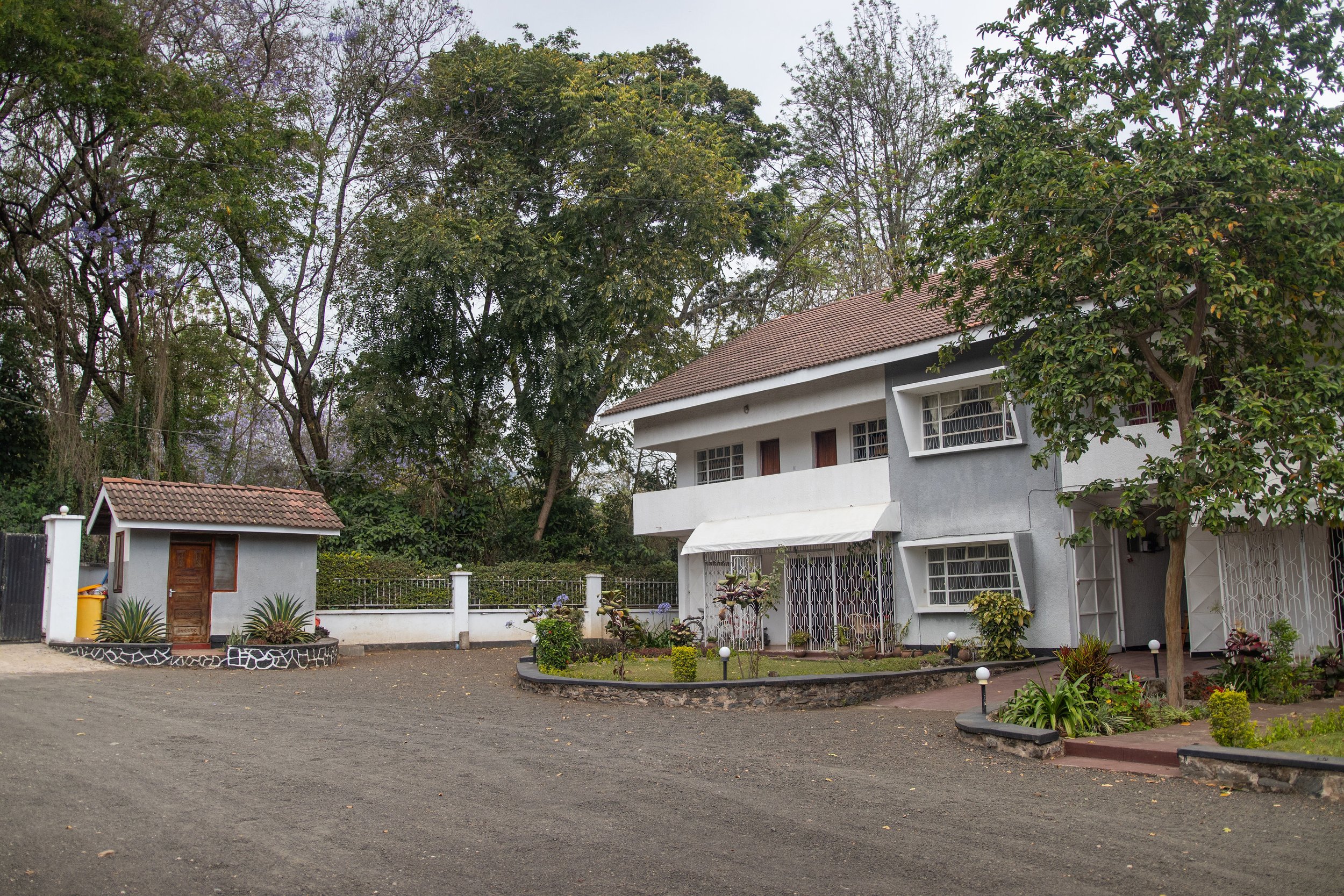 A residential front yard featuring small plants, a white fence, and a two-story house with a tiled roof, surrounded by tall trees with green leaves and some purple flowers amid a cloudy sky.