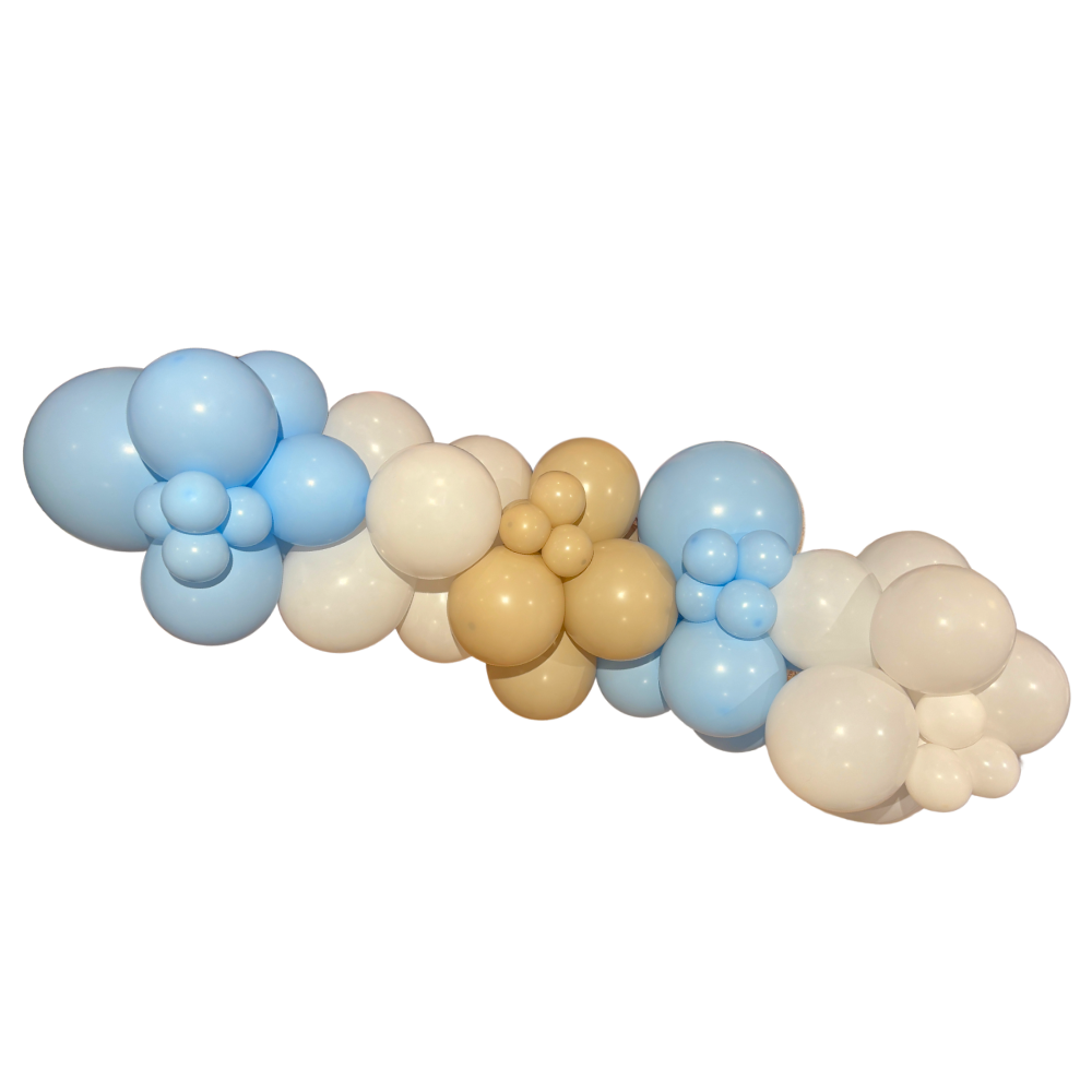 Monet Balloon Garland
