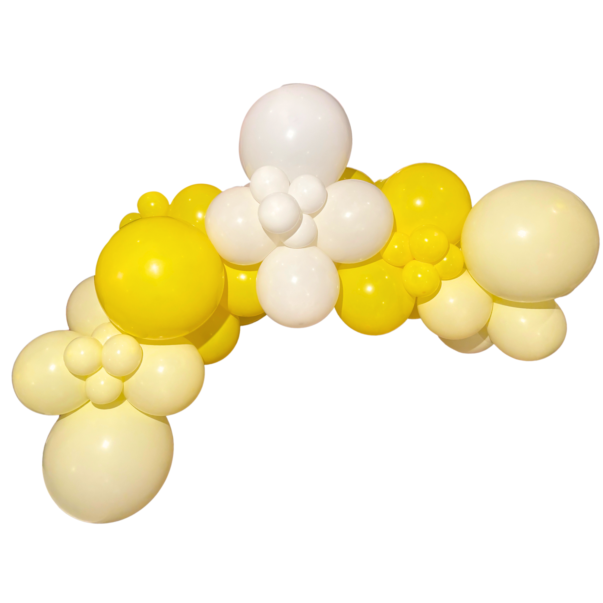 Limoncello Balloon Garland