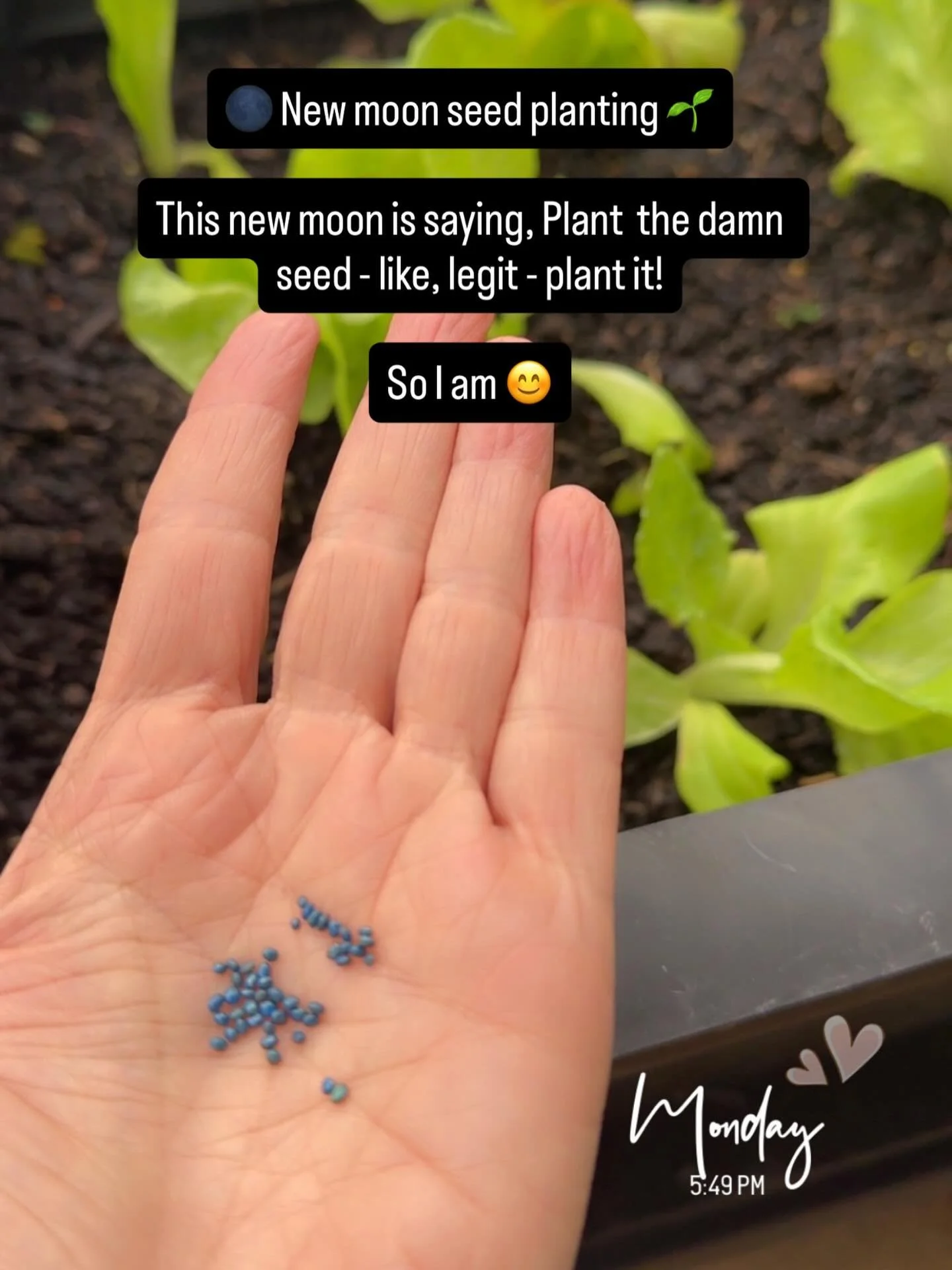 New moon energy flowing in 🌑

In Capricorn, this new moon asks us to plant seeds in your lived life. 

Don&rsquo;t just dream about the thing.
Don&rsquo;t just think about the thing.
Do the thing that brings it into your reality.

And it might be a 