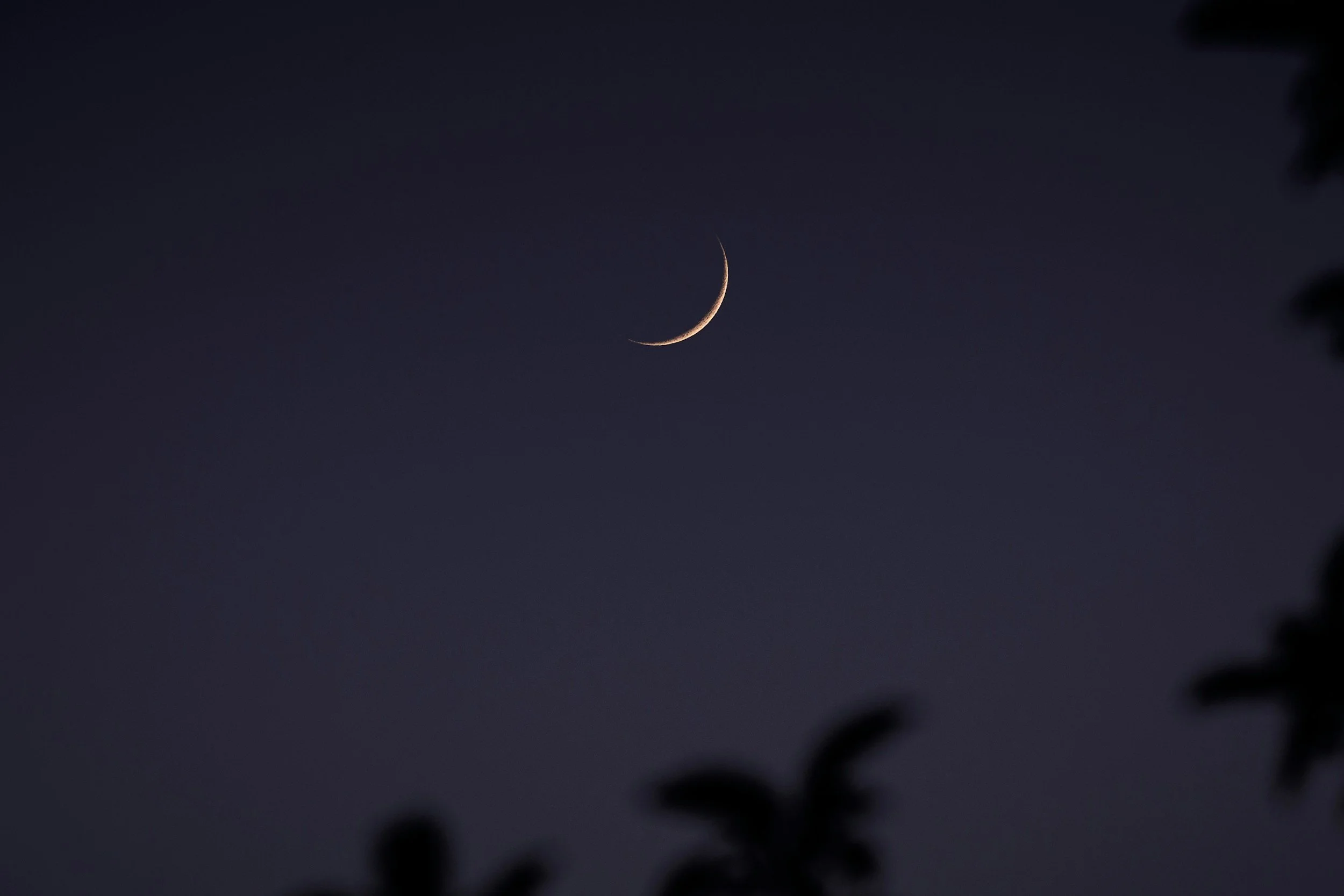 New Moon in Taurus - 17 May 26