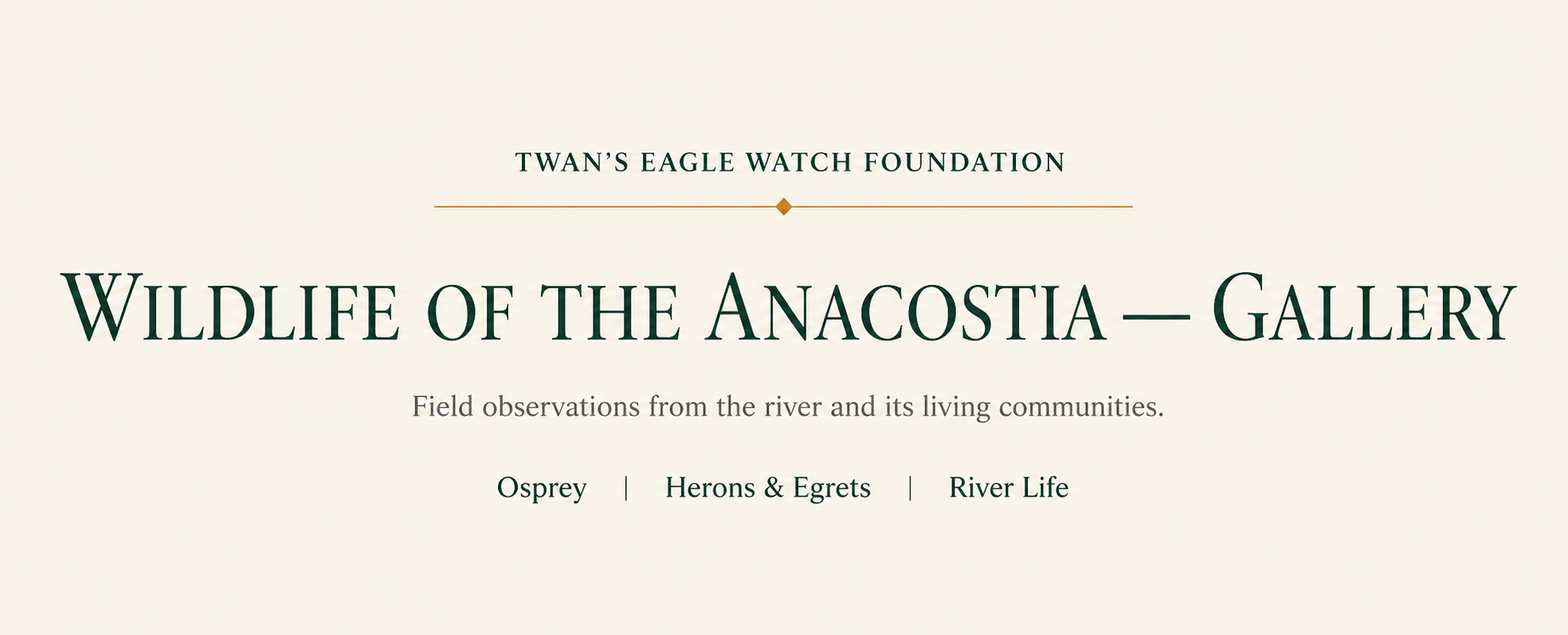 Wildlife of the Anacostia Gallery title banner with links to Osprey, Herons and Egrets, and River Life.