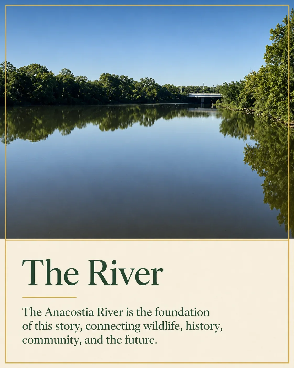 The River card showing calm water bordered by trees along the Anacostia River.