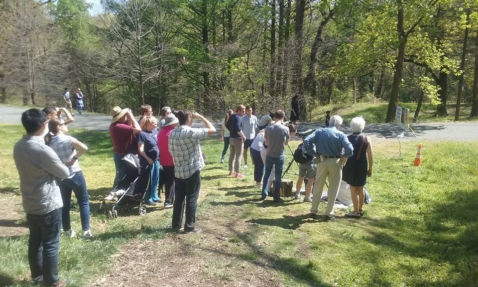 A clearing becomes an outdoor observatory as visitors turn their attention skyward.