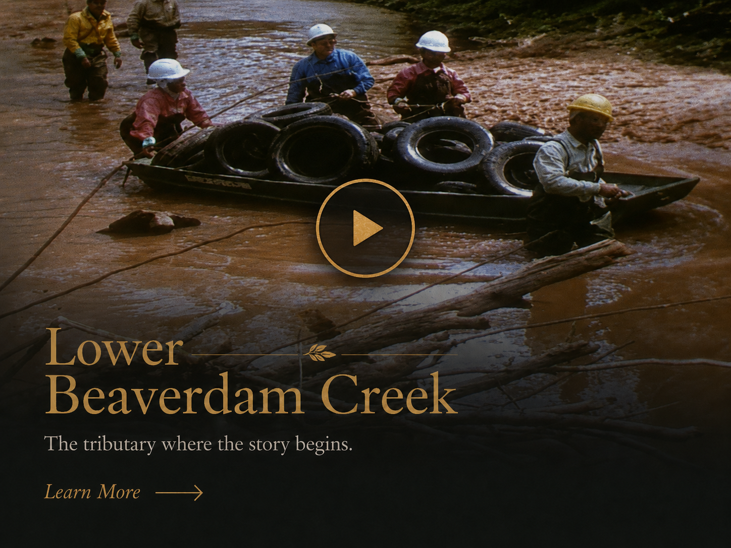 Lower Beaverdam Creek archival chapter graphic