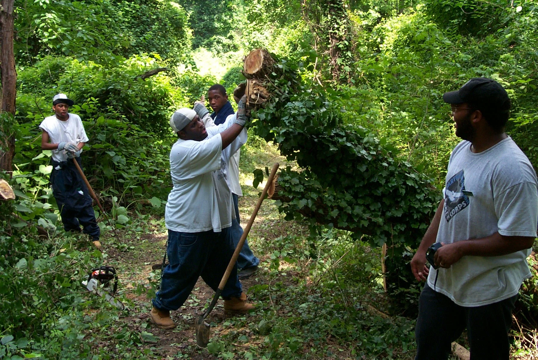 Earth Conservation Corps members move through the woods, doing the hands-on fieldwork behind the restoration story.