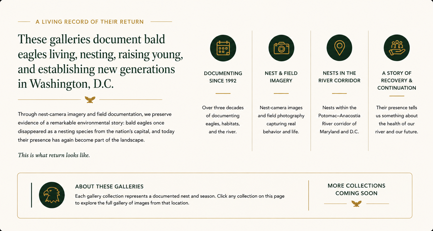 A Living Record of Their Return panel explaining three decades of Washington, D.C. bald eagle documentation, nest imagery, river corridor nests, recovery, and continuation.
