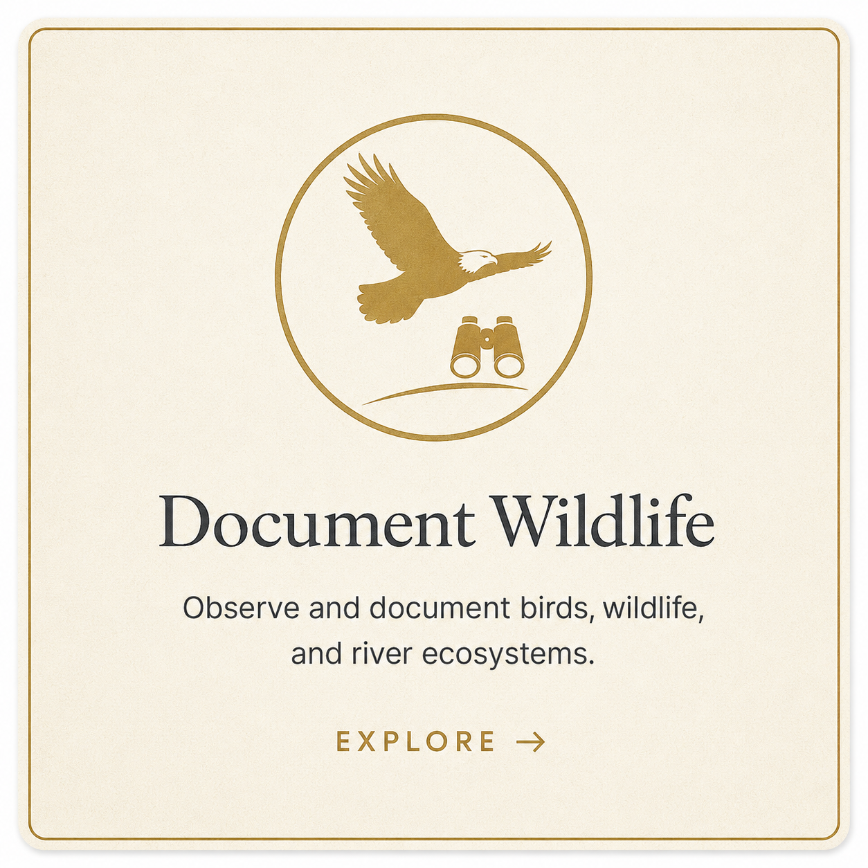 Document Wildlife - observe and document birds, wildlife, and river ecosystems.