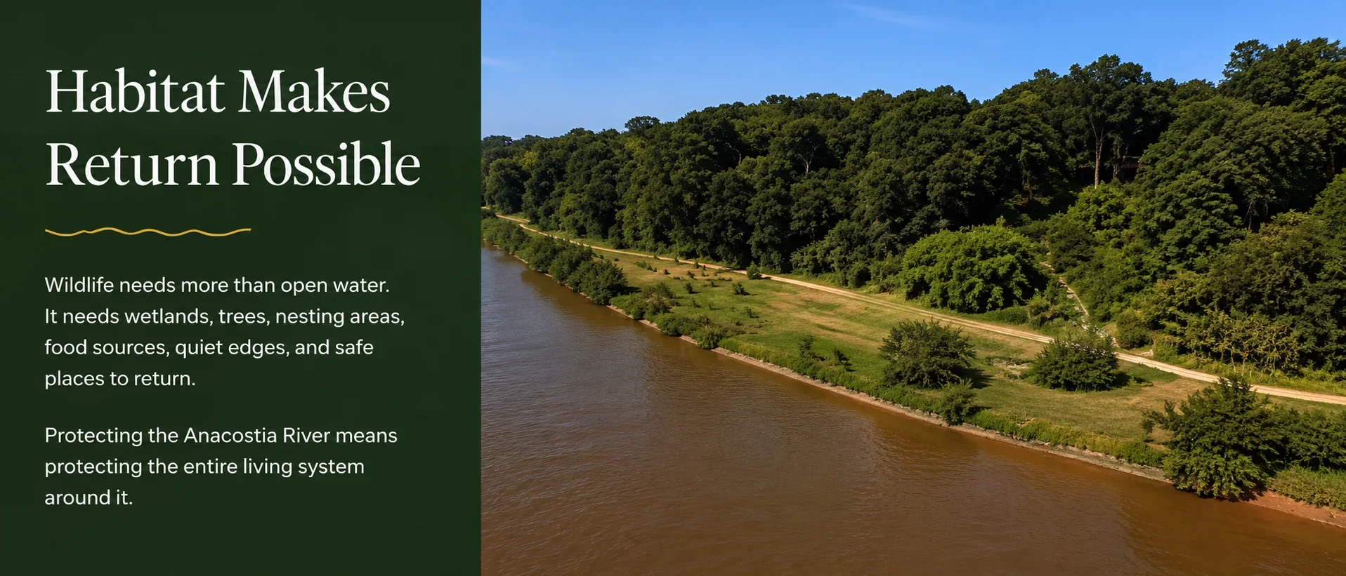 Habitat Makes Return Possible panel showing the forested Anacostia River shoreline and explaining the wetlands, trees, nesting areas, and quiet edges wildlife needs.