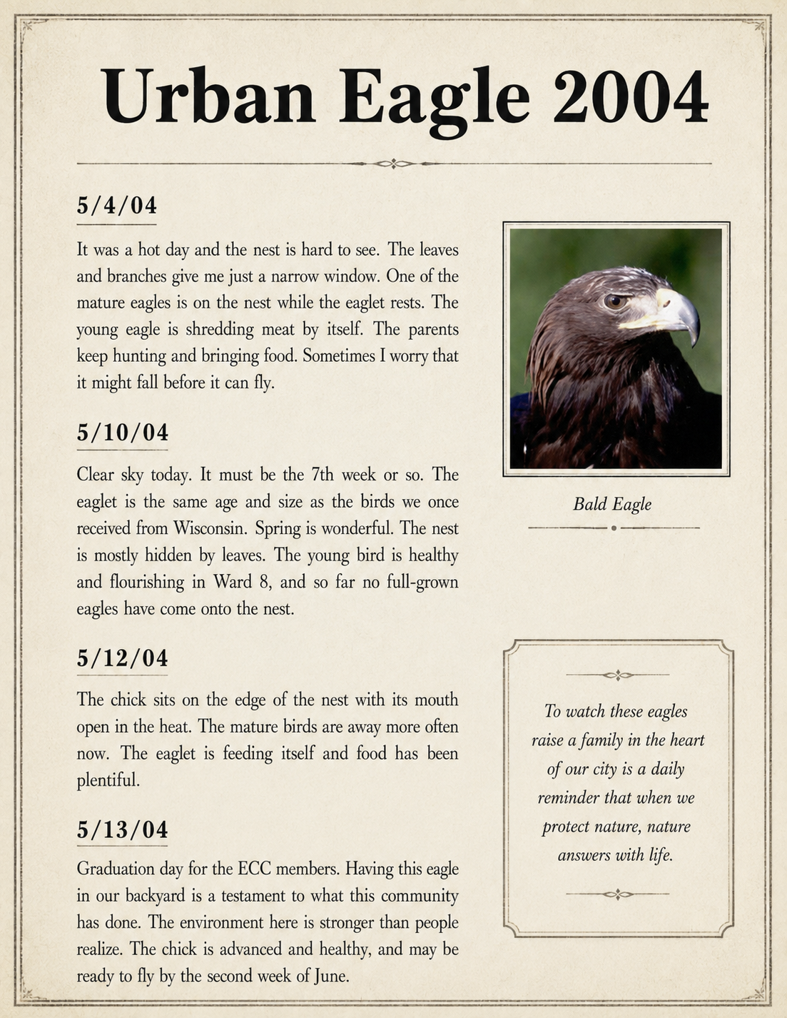 Urban Eagle 2004: field observations from May 4, May 10, May 12, and May 13.