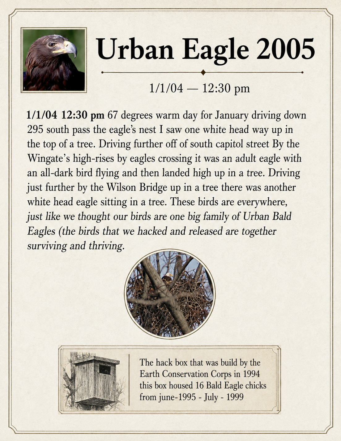 Urban Eagle presentation panel titled 2005 with an entry dated January 1, 2004; the title-date discrepancy is preserved.