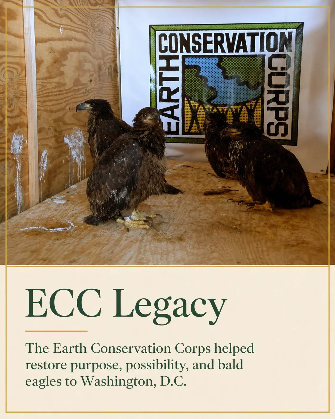 Earth Conservation Corps legacy graphic honoring service, river restoration, and hope.