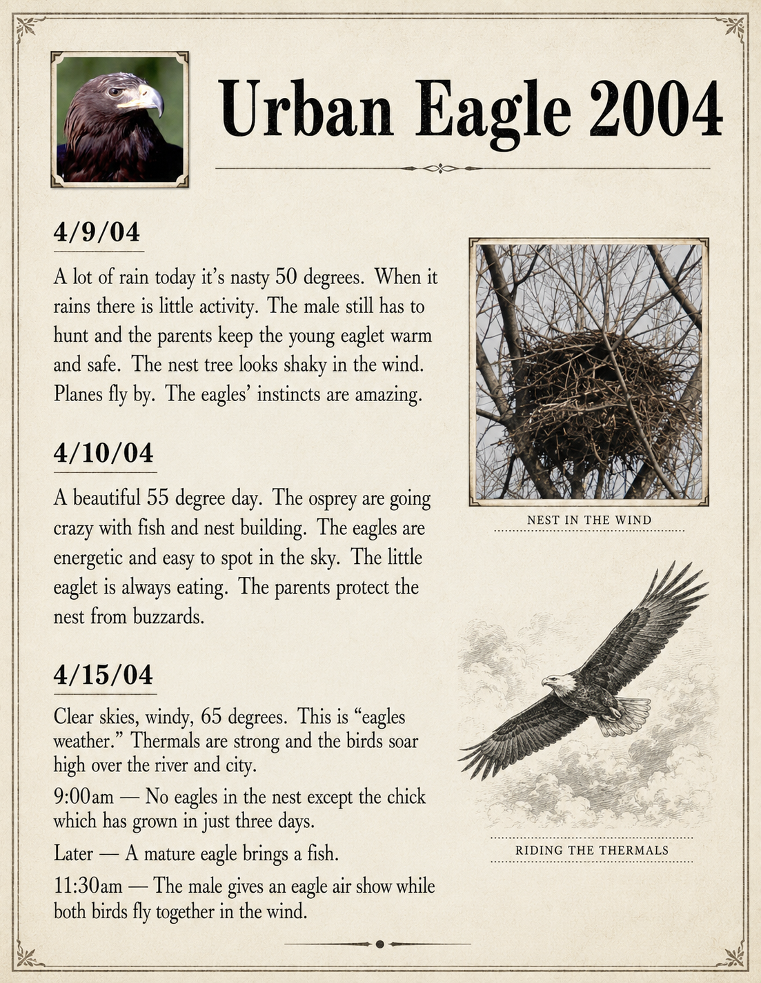 Urban Eagle 2004: field observations from April 9, April 10, and April 15.