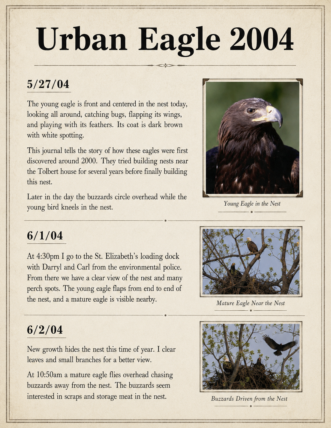 Urban Eagle 2004: field observations from May 27, June 1, and June 2.