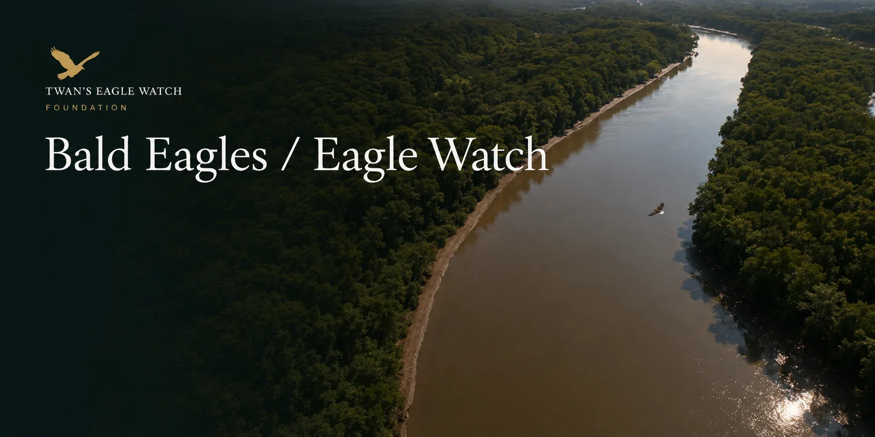 Bald Eagles and Eagle Watch banner showing an aerial view of the forested Anacostia River corridor in Washington, D.C.