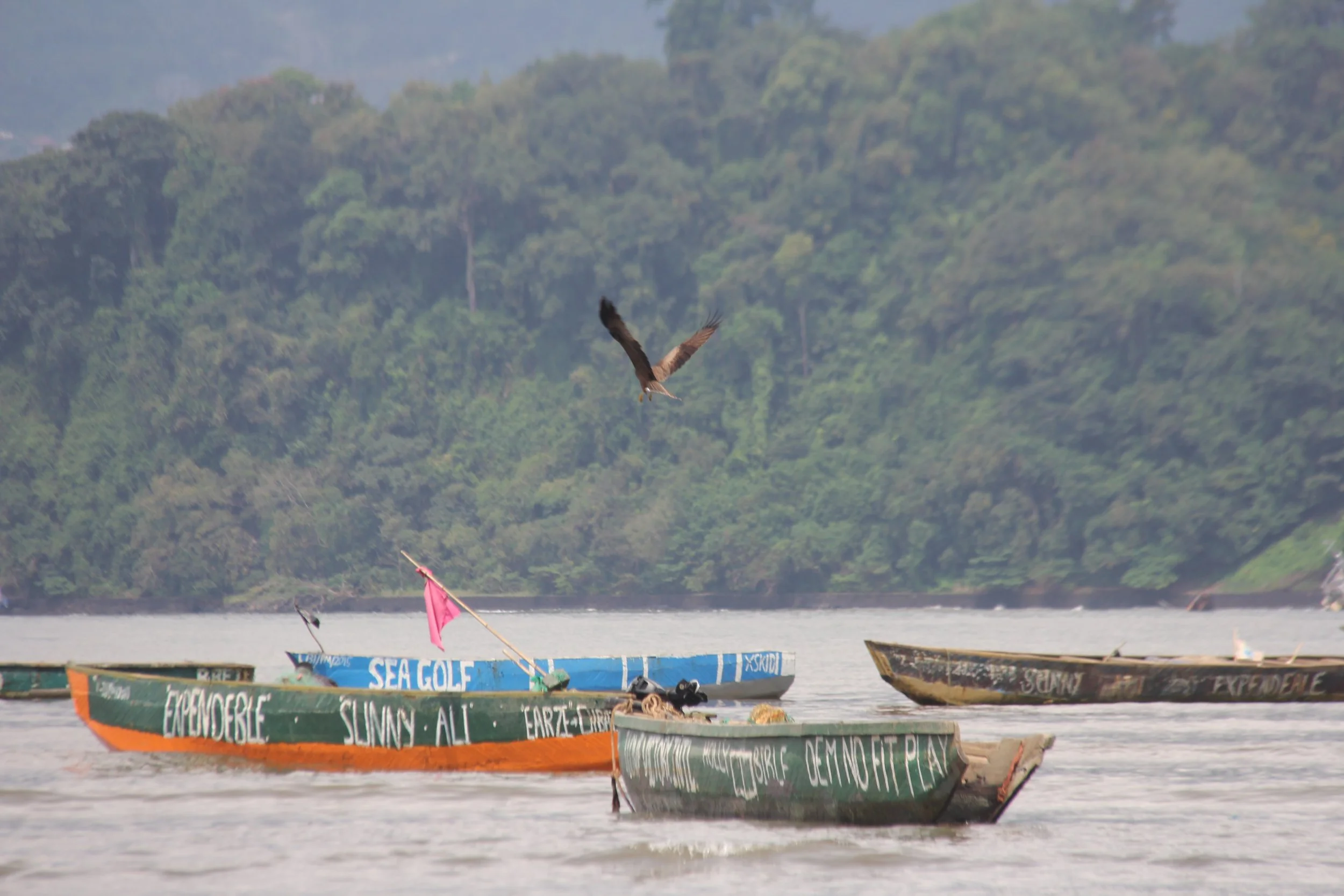 Limbe Beach_Cameroon_AMMCO_2.JPG