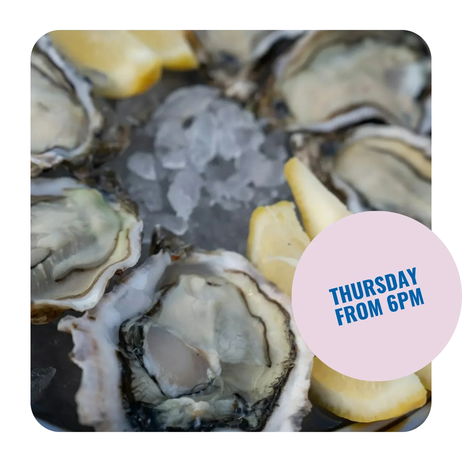 Thursday Oyster Nights