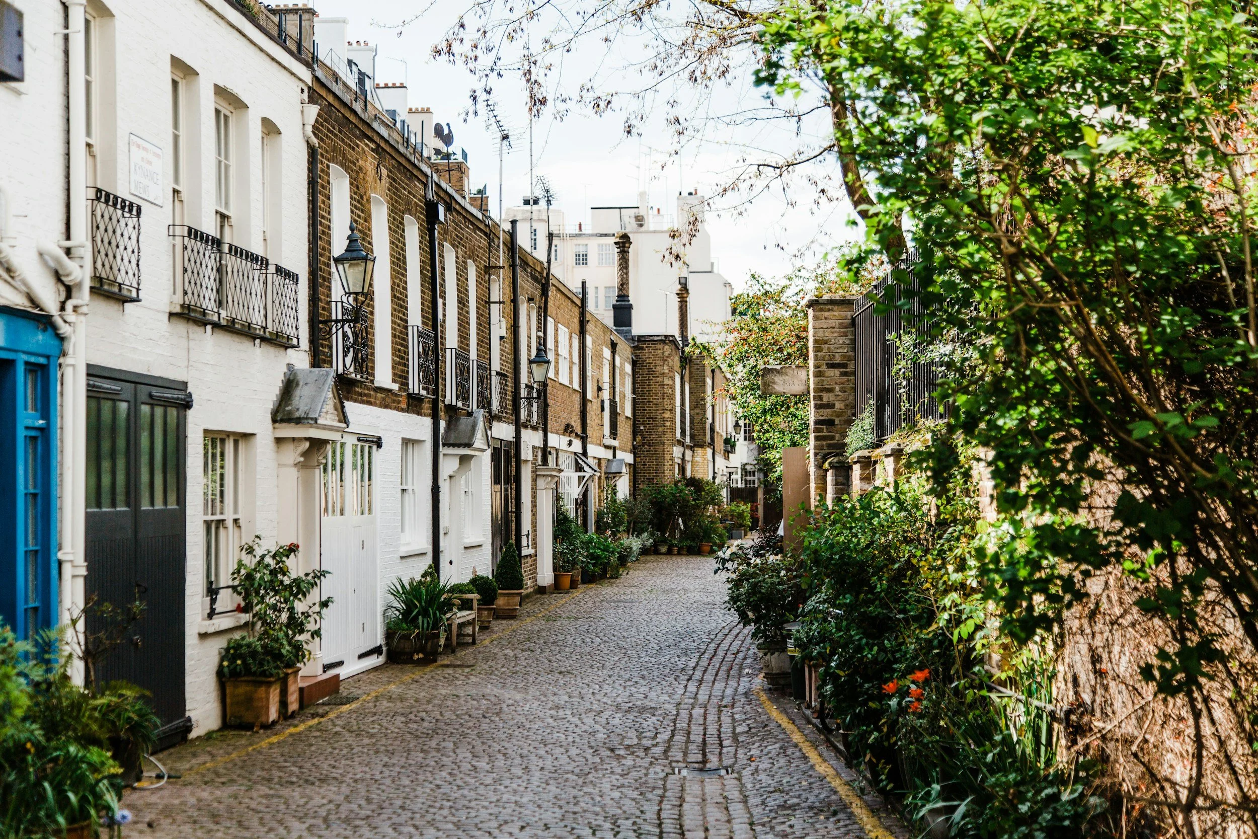 A cobblestone alley lined with white and brown row houses with black wrought-iron balconies and street lamps, lush greenery, trees and potted plants.