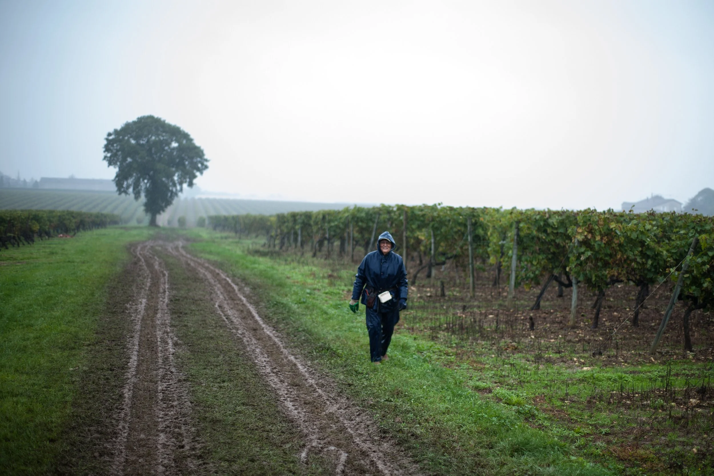 Vendanges_30.jpg