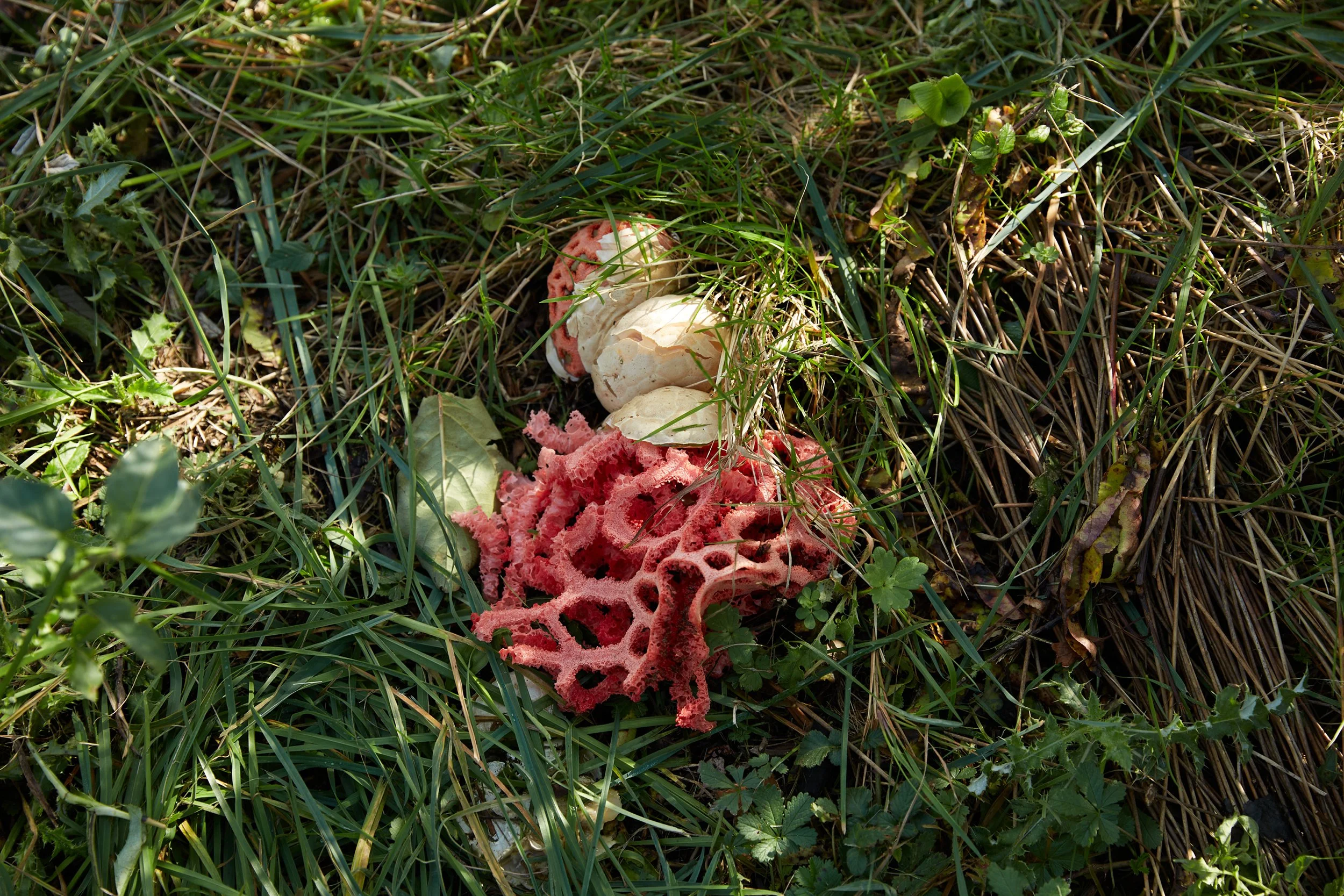 10_06C2112_SS.jpg