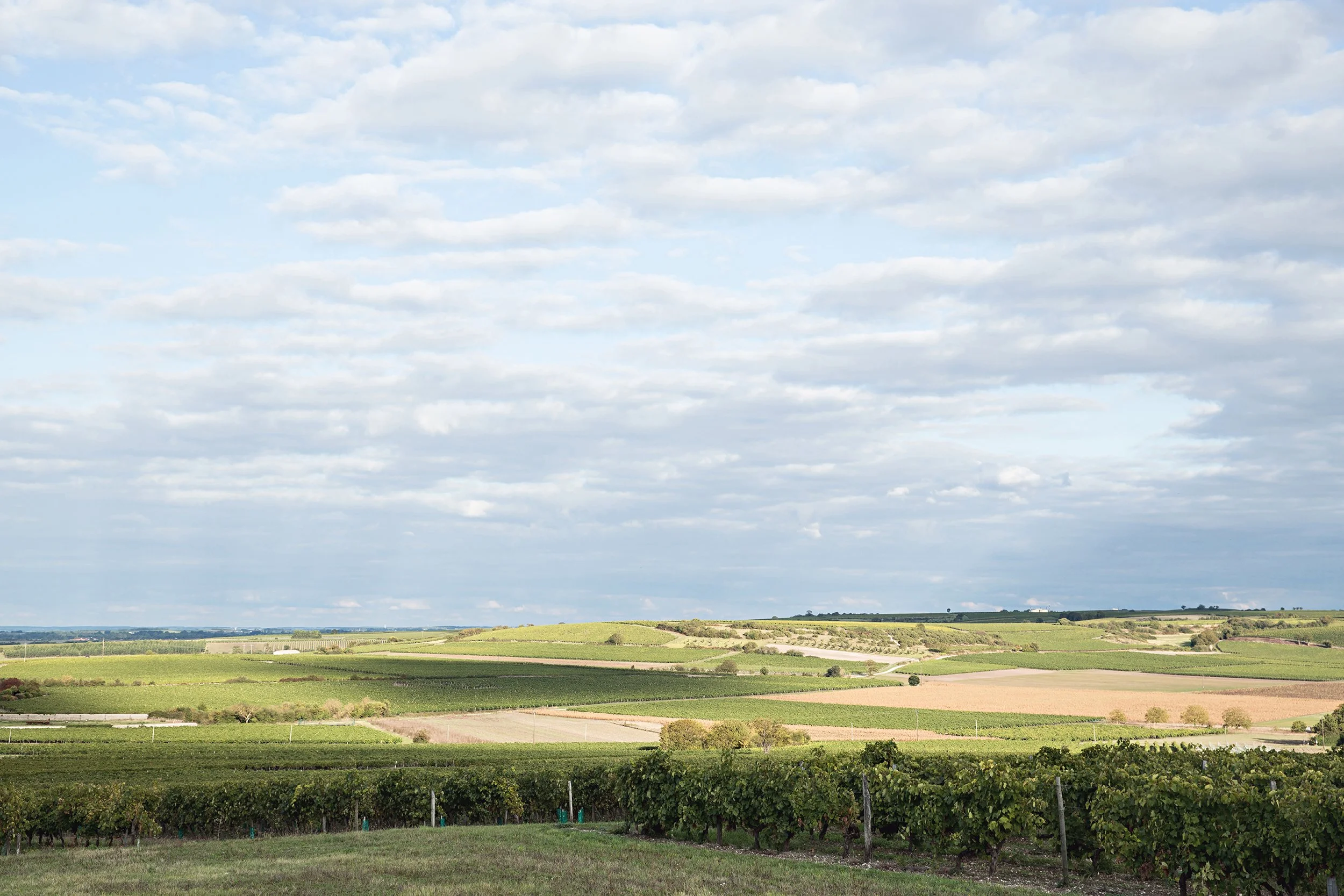 Transport, Rousseau, Corporate, camion, Cognac, Charente, vigne, Charente, alcool