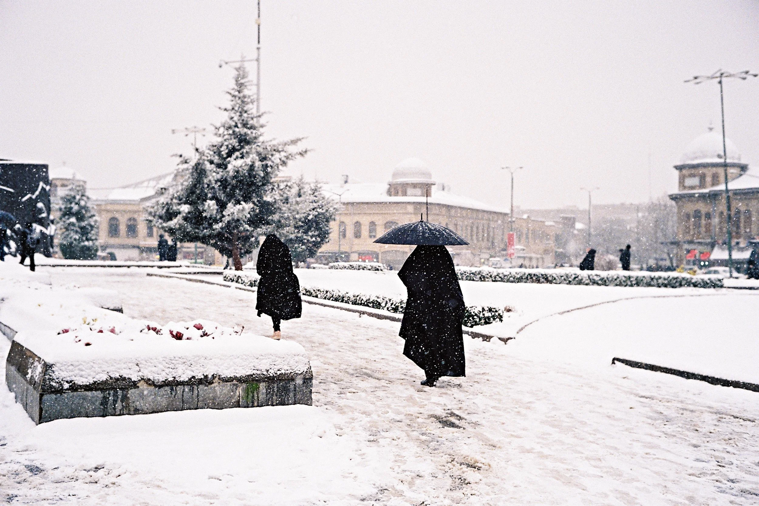 01_F1020030.jpg