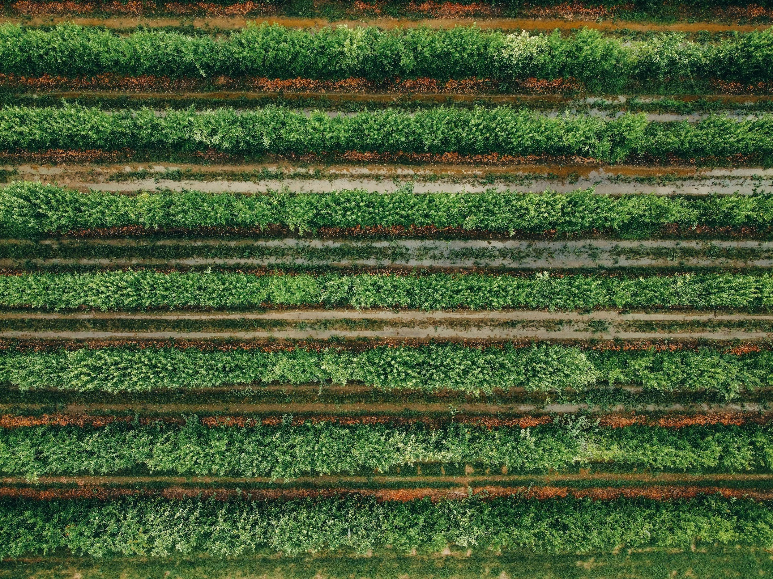 unsplash-image-0qtsLn7yQQM.jpg