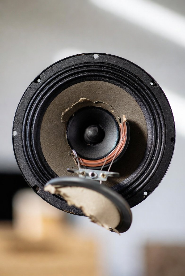 The broken speaker: why some ears can't be fixed by volume alone