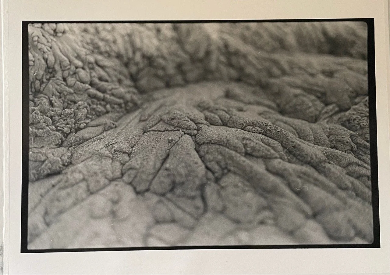 Uden titel / 2023 / Analog fotografi