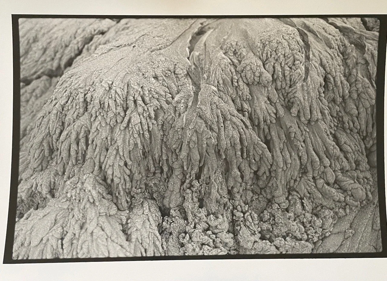 Uden titel / 2023 / Analog fotografi