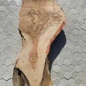 Birdseye Maple Burl Slab
