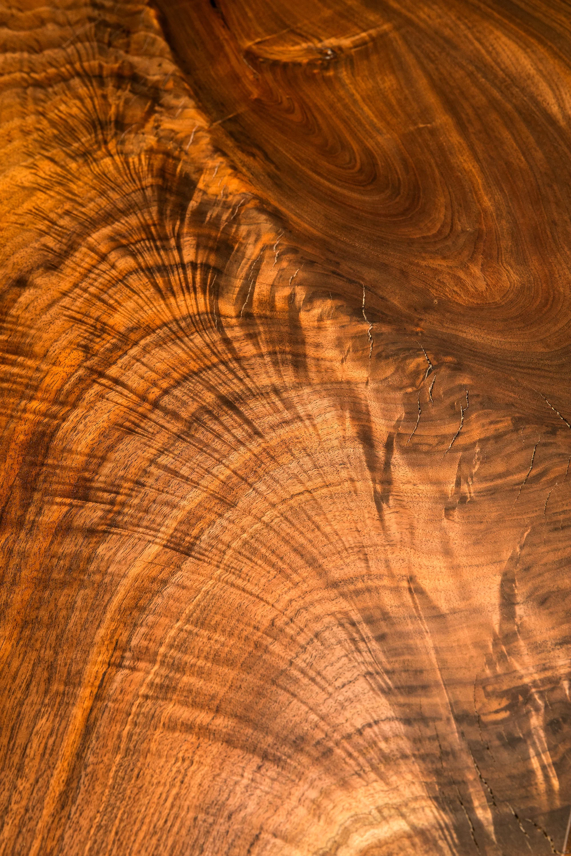 Claro Walnut